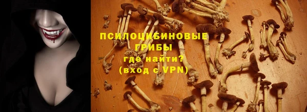таблы Алзамай