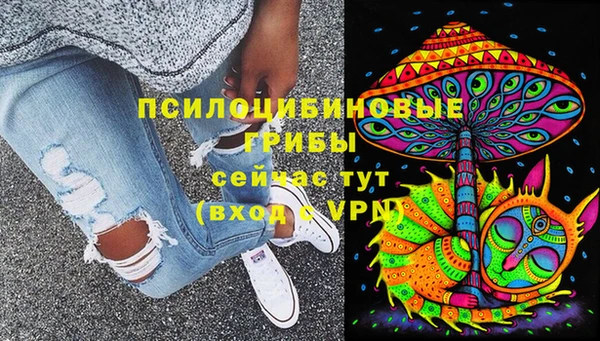 дмт Алексин